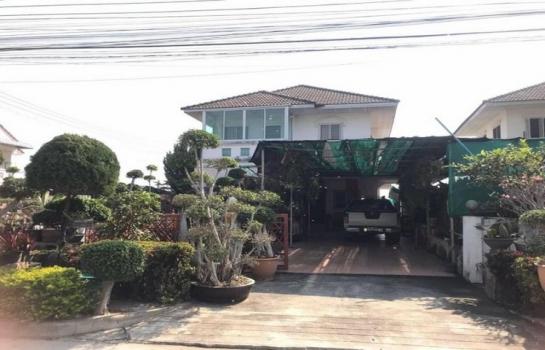 �ҧ�� �� northern1