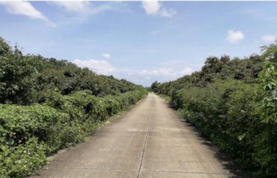 �Ӿٹ �� ptipayaru1