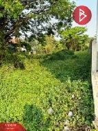 ��·��Թ �Ҥһ�С�Ȣ�� 2,890,000 �ҷ