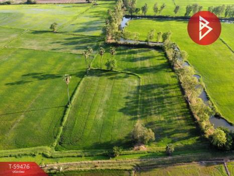 ��û�� �� The Best Property Agent