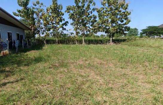 ������� �� ptipayaru1