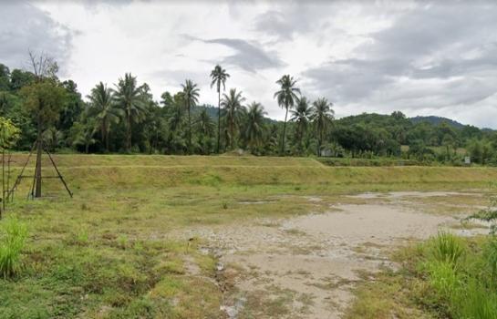 �ź��� �� may