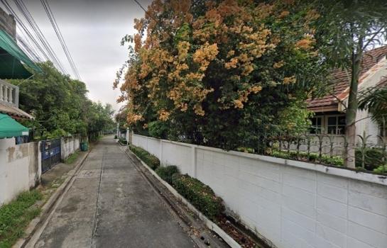 ��بѡ� �� HarrisonTH