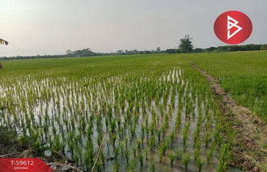 �Ӿٹ �� The Best Property Agent