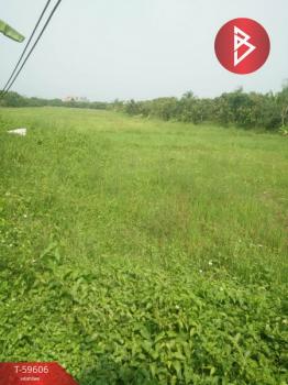 �Ӿٹ �� The Best Property Agent