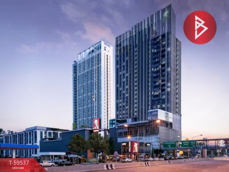 ����Ҫ� �� The Best Property Agent