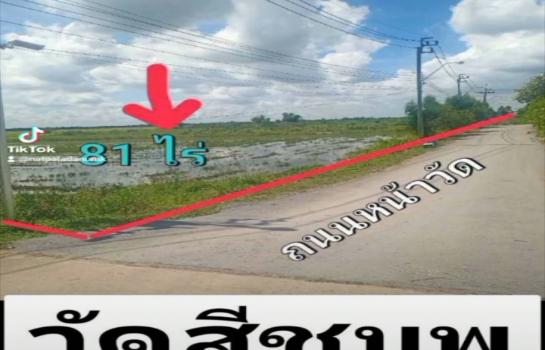 �ҧ�� �� TheEstate78924