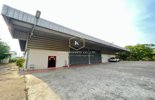 �ҧ���� �� Kong property