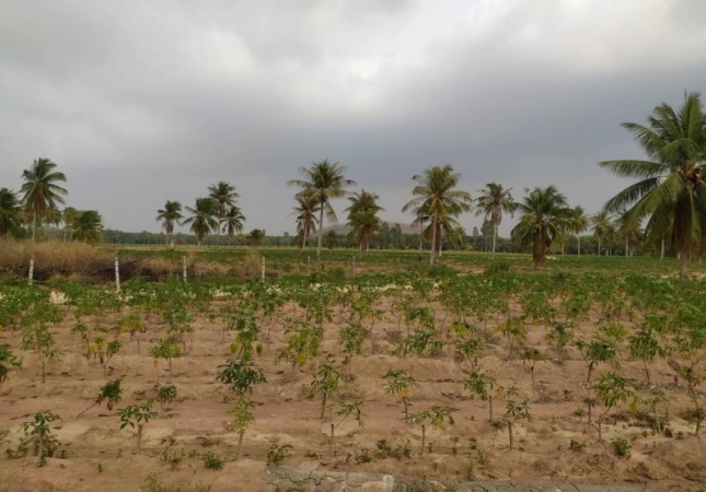 ที่ดิน pattaya ที่ดิน pattaya