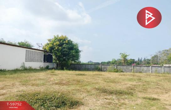 ����Ҫ� �� The Best Property Agent