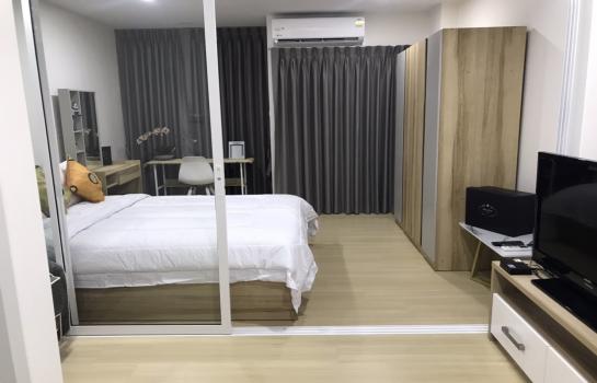 �ҧ�л� �� Agent Support