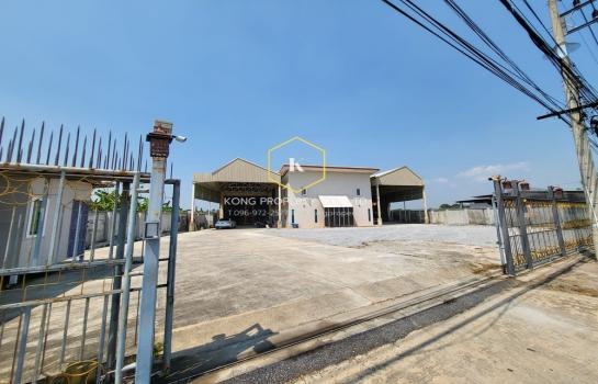 ��û�� �� Kong property