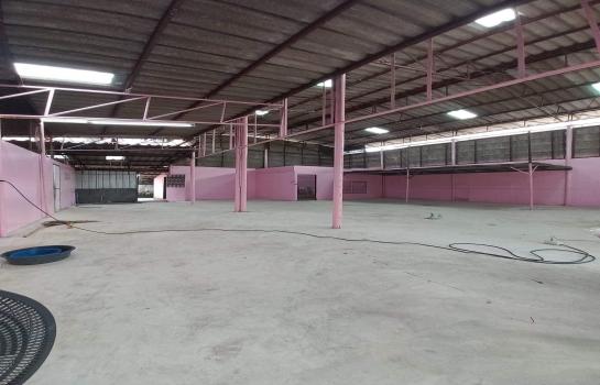 ��ا෾ �� Kong property