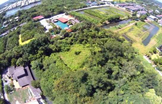 �ç�ҹ������ ���觪ѹ��ا෾