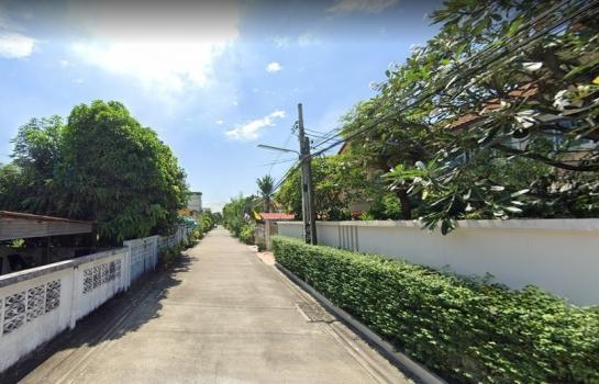 �ҡ��� �� HarrisonTH