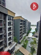 ��� �͹� 29.80 ���ҧ����