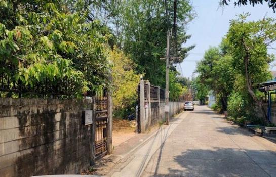 ��µ��觪ѹ �� ���പ