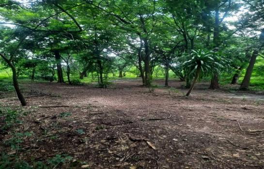 ��к��� �� rattana27