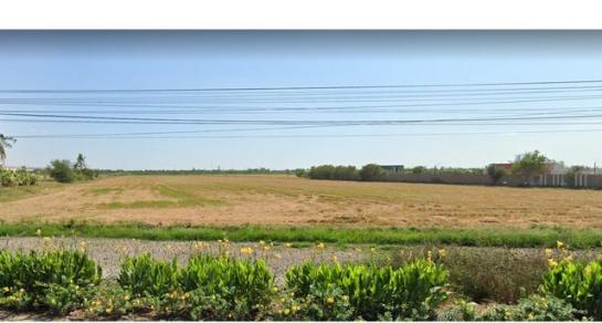 ����Ҵ��кѧ �� asangha PL