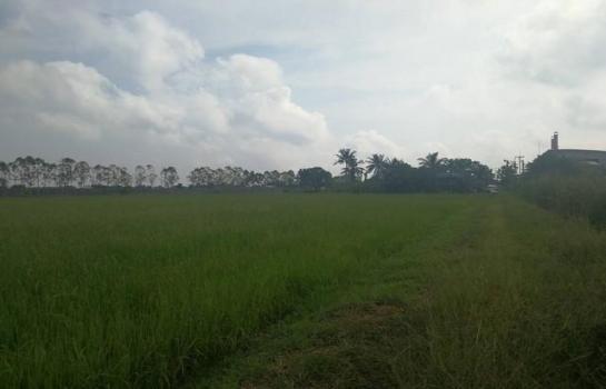 �ѭ���� �� Airatda