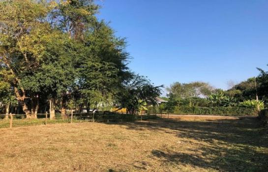 ������ �� onanong khumaphao