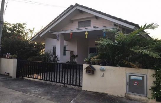 �ҧ�� �� northern1