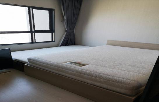 �͹����ͧ �� easythaihome