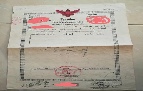���Թ��鶹��˭� ��§����