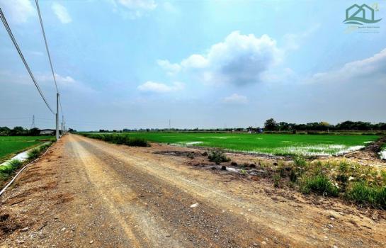 ˹ͧ���� �� janejane