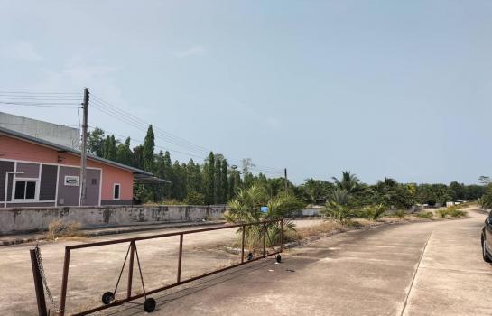 ���Թ������ ��ҧ����