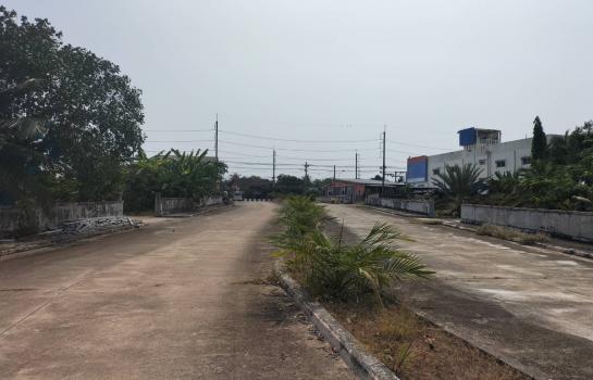 ���Թ������ ��ҧ����