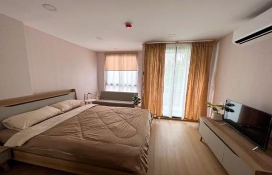 ������ԭ �� ���പ