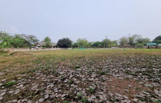 ���Թ�ҧ�� �� Sawasdee