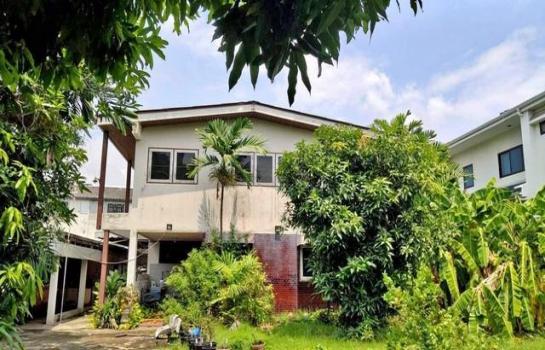 ��¾��⢹� �� asanghapl