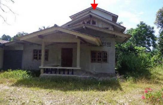 ��� �� panaya.opalopal