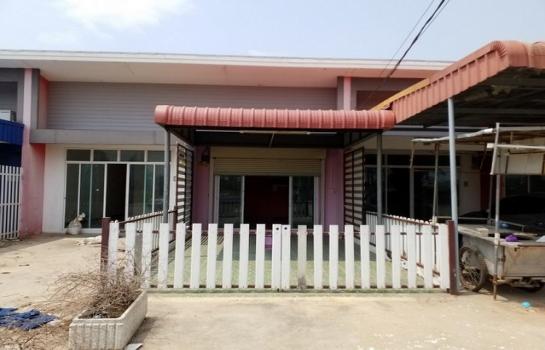 ����Թ �� panaya.opalopal