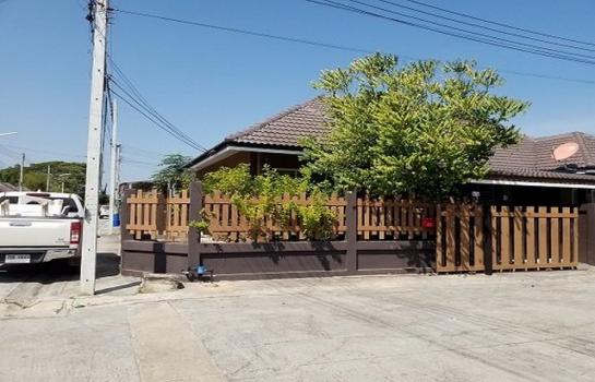 ����Թ �� panaya.opalopal