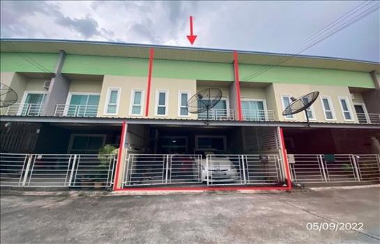 �ź��� �� panaya.opalopal