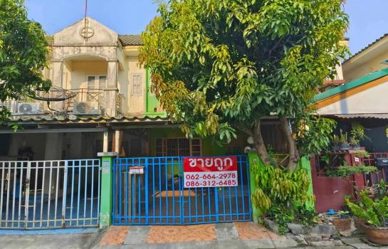 �չ���� �� rattana27