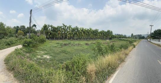 �����к��� �� Jyn Property