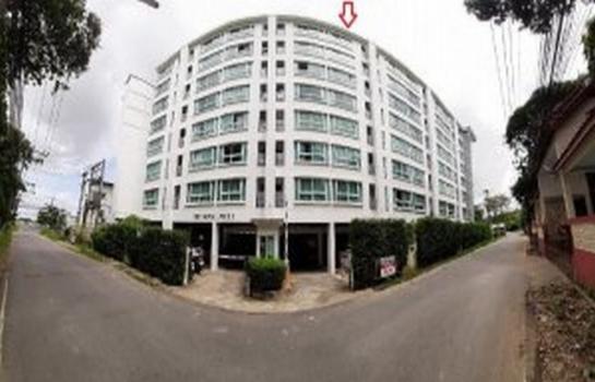 ���� �� panaya.opalopal