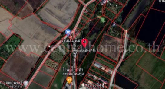 ���ͧ �� ����ѷ �繷��� ��� ���;������ �ӡѴ