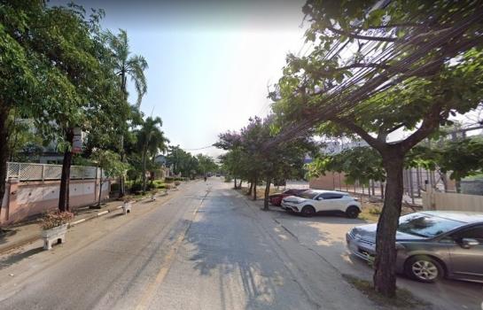 ��ºҧ�л� �� HarrisonTH