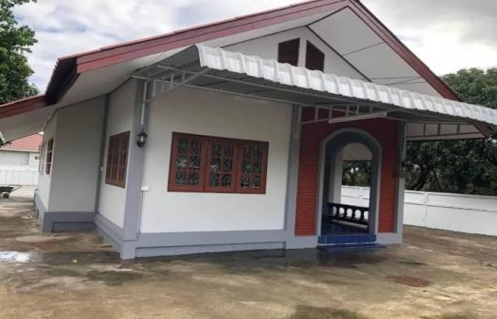 ��ҹ�ѹ��ҵͧ ��§����