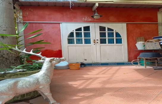 ��ºҧ� �� Agent Support