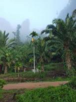 ��ҹ �����֡ 1,093 ���ҧ��