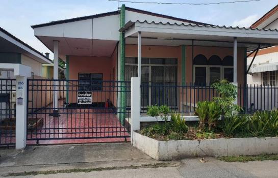 �ҧ�� �� �Ң�ѭ �Ź�����