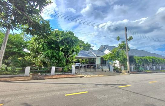 �ҧ�� �� �Ң�ѭ �Ź�����