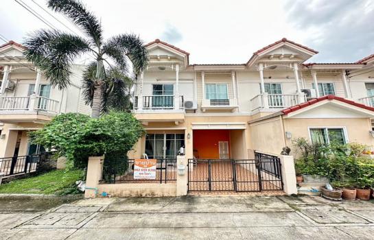 ��ǹ���� bigc