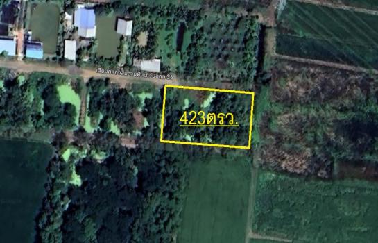 ˹ͧ�͡ �� Patkorn